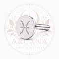 ♓ Pisces Zodiac Engraved Flat Back